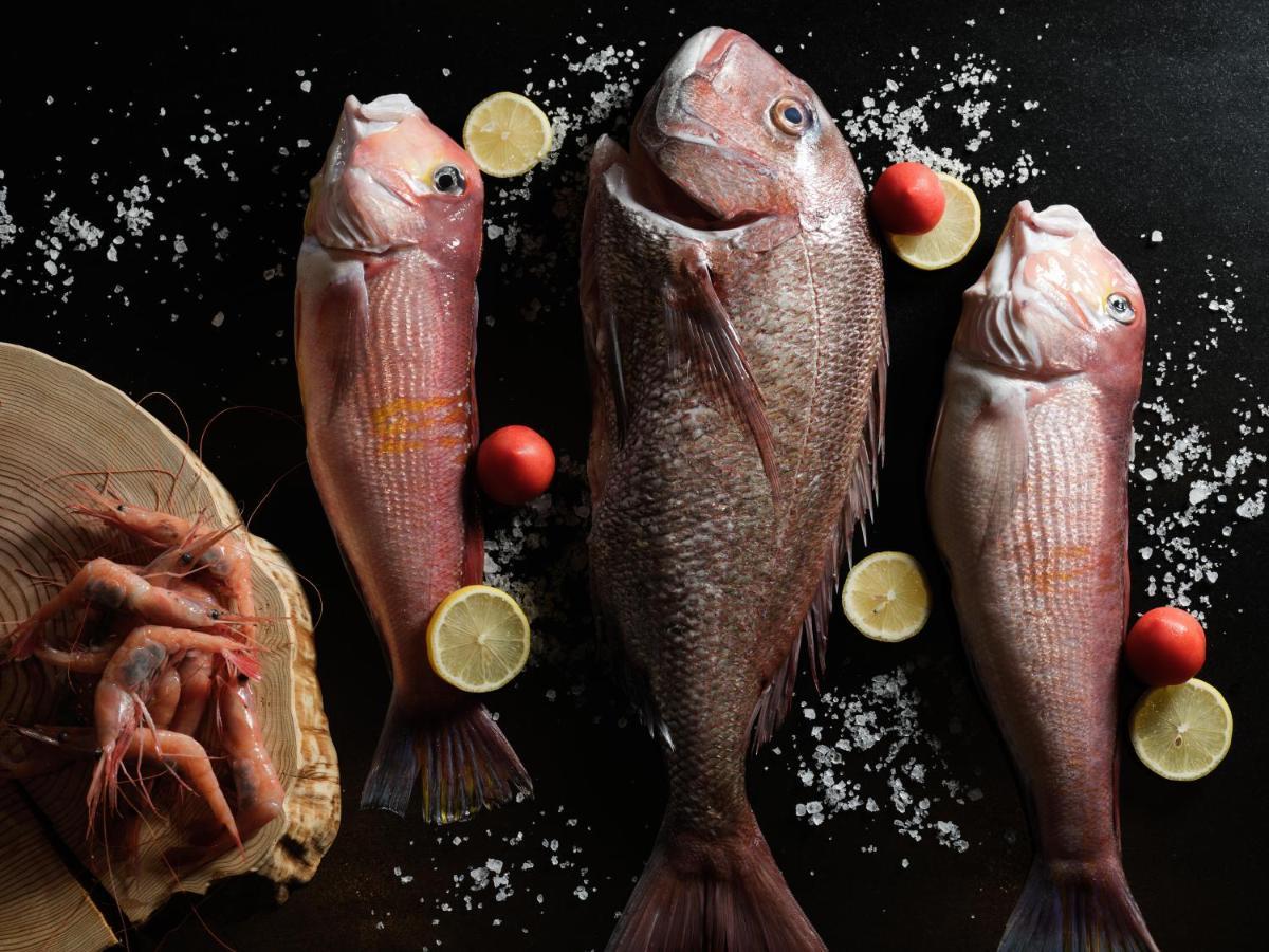 金泽凯悦尚萃酒店 外观 照片 Fresh fish